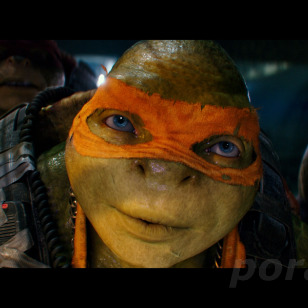 łeb żółwia ninja